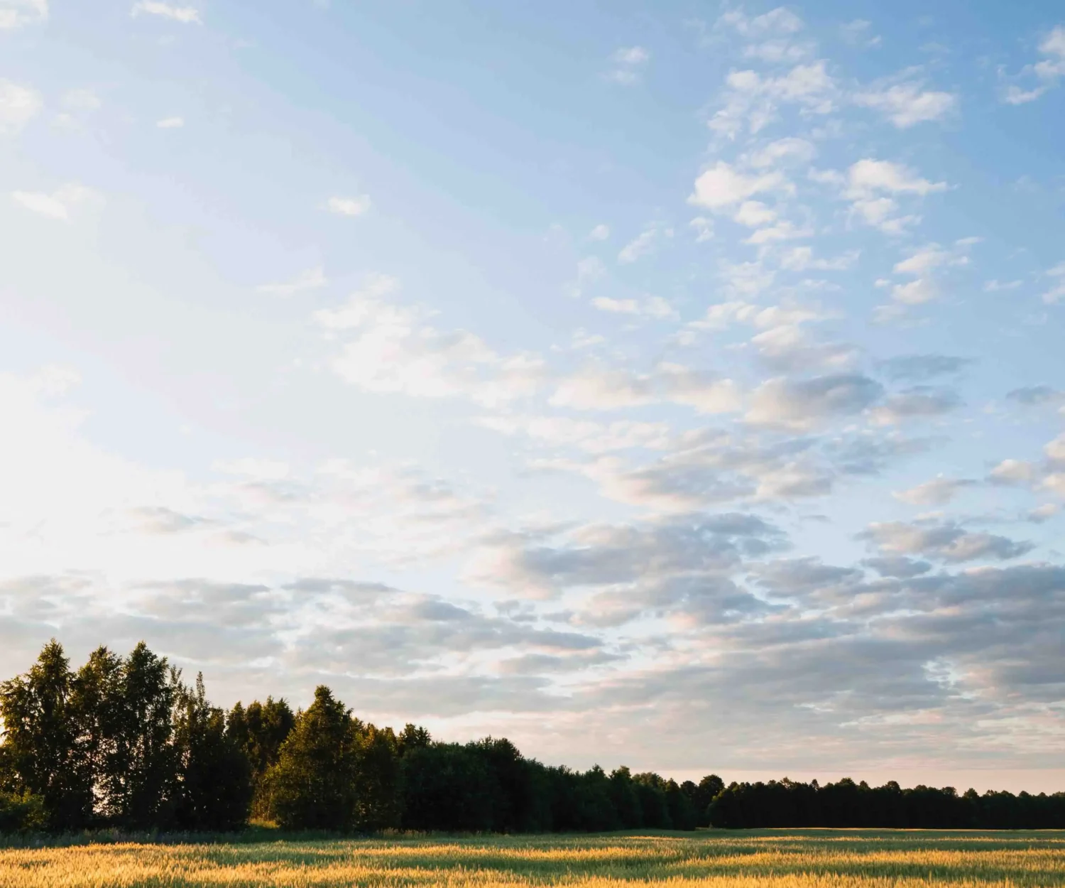 6 très bonnes raisons d'externalsier son contneu article du mois d'avril